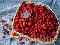 Как сушить шиповник в домашних условиях